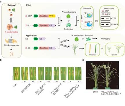 b7b9fcae43bfbf9a3c401dbed9c21d3